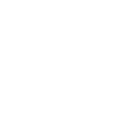 white circle