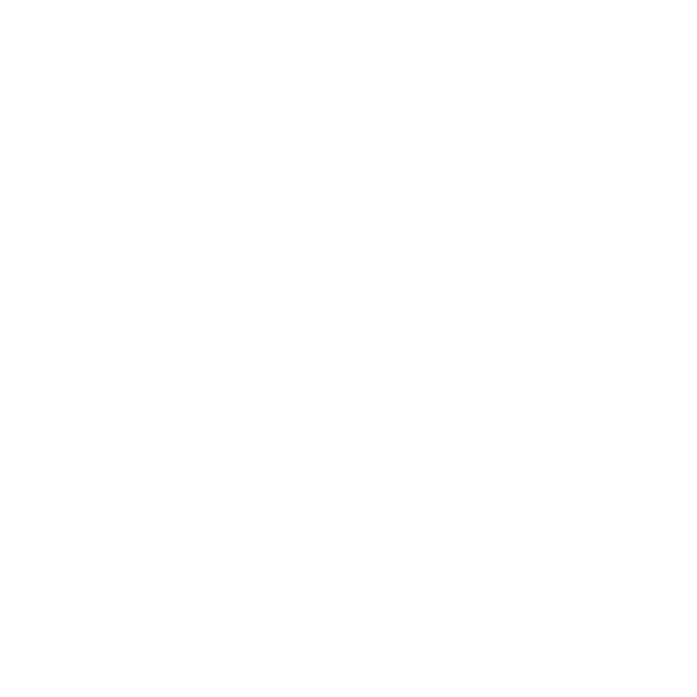 video icon